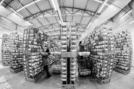 山西農(nóng)民報(bào)數(shù)字報(bào)